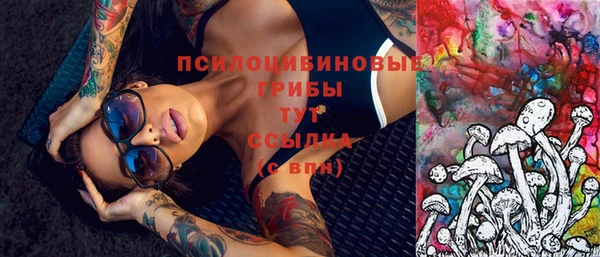 кокс Белокуриха