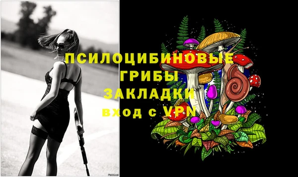кокс Белокуриха