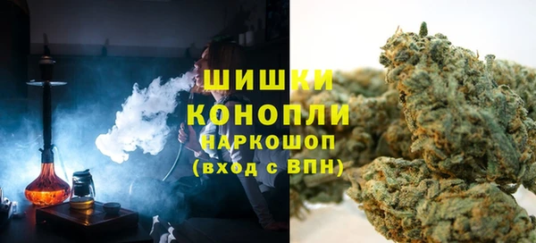 кокс Белокуриха